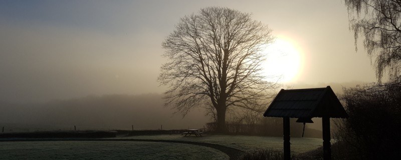 Jenle morgen billede vinter